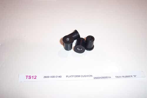 TS19