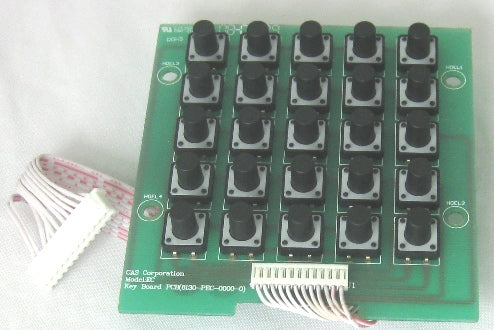 PEC4